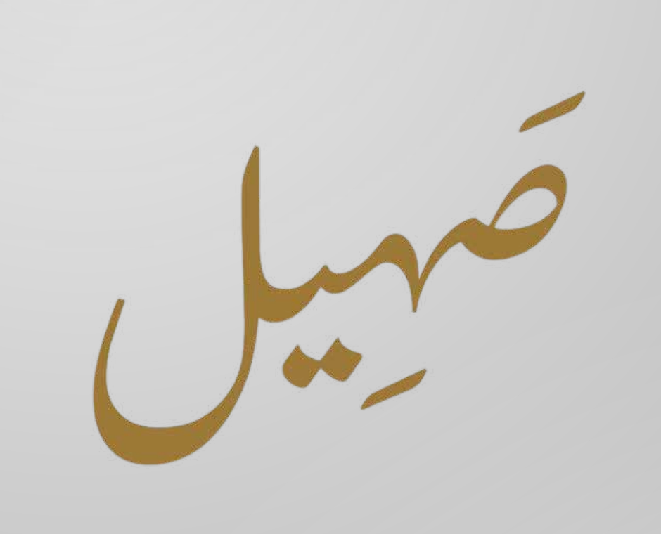 Saheel logo